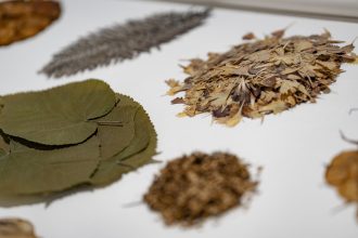 Arter-Tayfun Erdoğmuş Sergisi