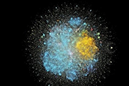 Cosmos