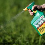 roundup bayer