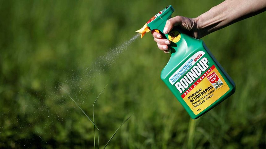 roundup bayer
