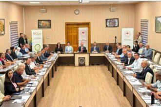 EİB İncir