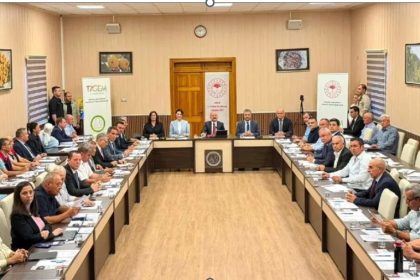 EİB İncir