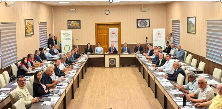 EİB İncir