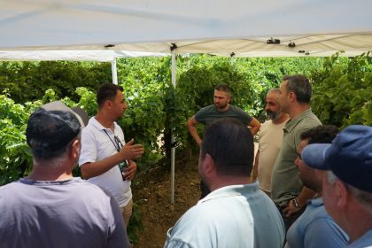 bayer tarım