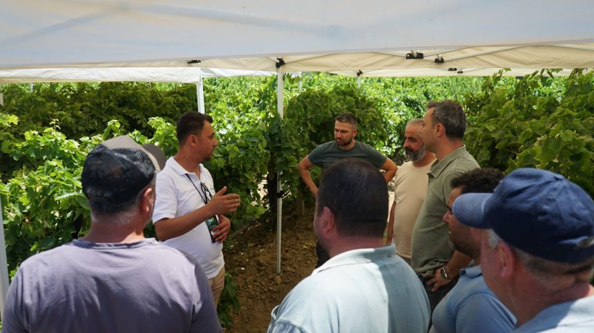 bayer tarım