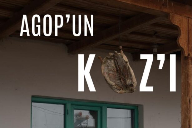 film agop'un kazı