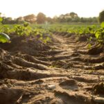 soil degradation