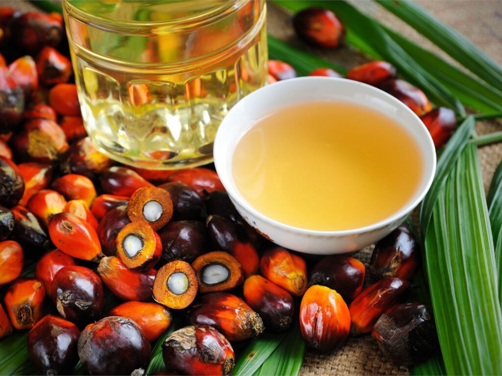Palm Yağı