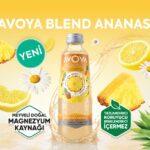 Avoya BİM