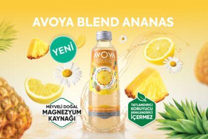 Avoya BİM