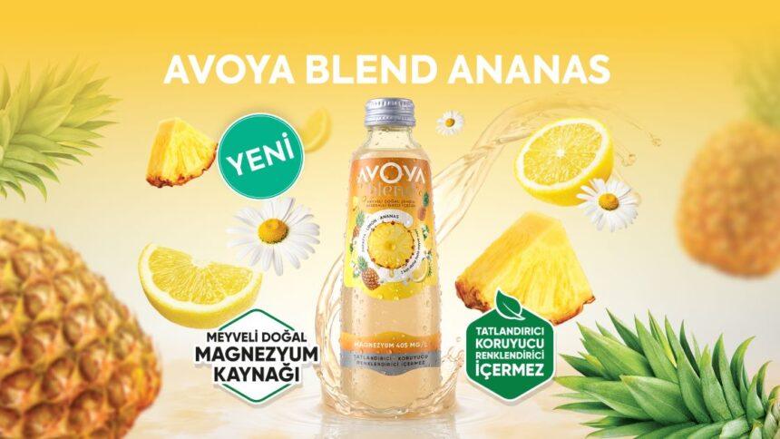 Avoya BİM